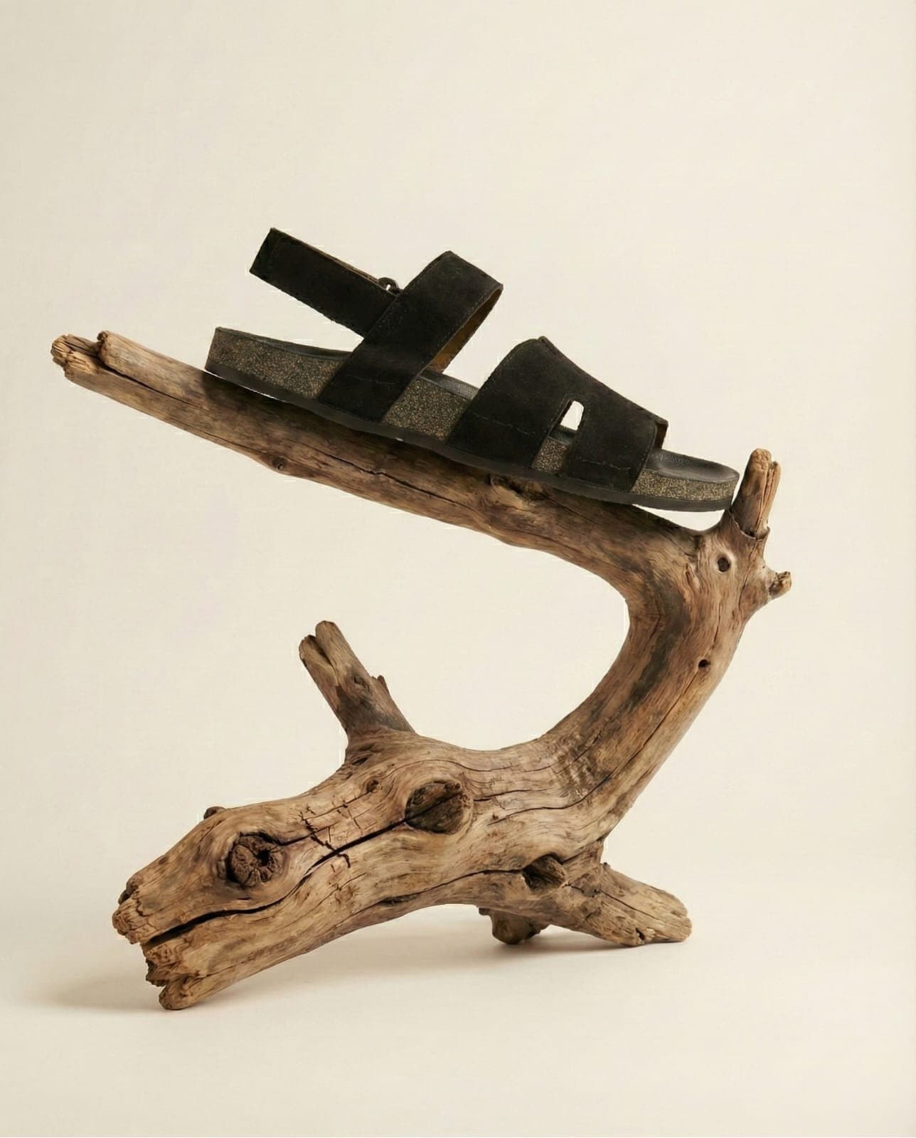 Premium comfort & simple design